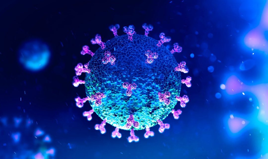Test na wykrycie przeciwciał IgG przeciw koronawirusowi SARS-CoV-2 już dostępny